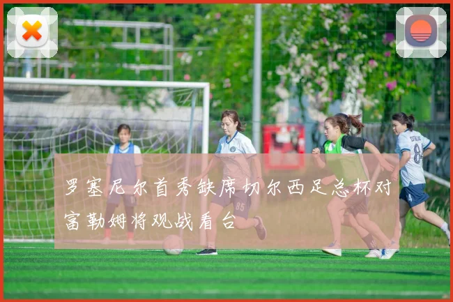 罗塞尼尔首秀缺席切尔西足总杯对富勒姆将观战看台